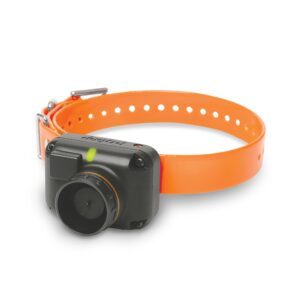 Dodatna ogrlica za DOGTRA 2602T&B