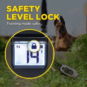 Paket DOGTRA ARC-X + Handsfree Square