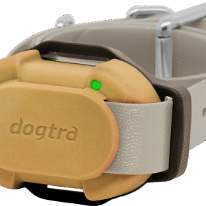 Dodatna ogrlica za DOGTRA iQ FLEX