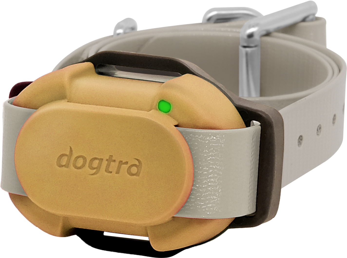 Dodatna ogrlica za DOGTRA iQ FLEX - Slika 2