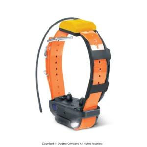 Dodatna ogrlica za DOGTRA Pathfinder 2 (Oranžna)