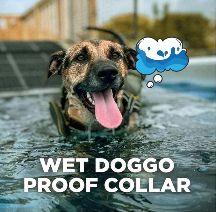 DOGTRA iQ FLEX – siva - Slika 5