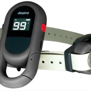 DOGTRA IQ FLEX - Siva